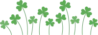 clover. shamrock icon.A cluster of lucky clovers.A group of Green lucky shamrocks.The Clover Family.