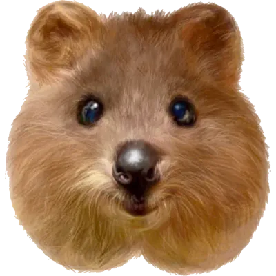 쿼카