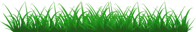 풀