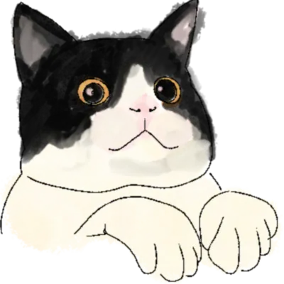 고양이