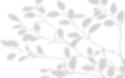 20250124-3