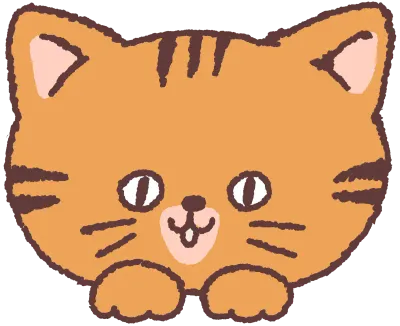 고양이