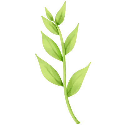 leaf