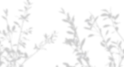 20250124-7