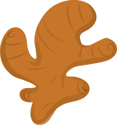 생강