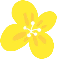 봄꽃