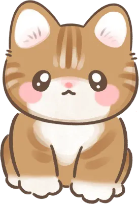 고양이