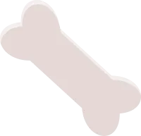 뼈다귀