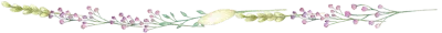 풀 테두리