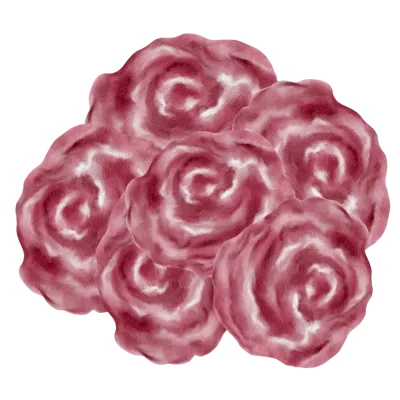 Maroon red rose