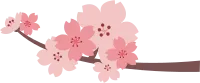 벚꽃