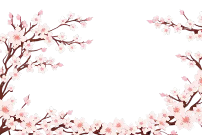벚꽃