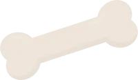 뼈다귀