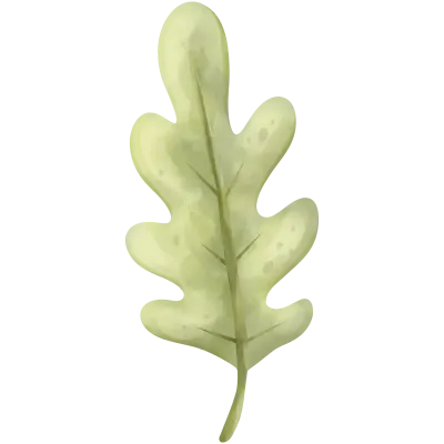 leaf