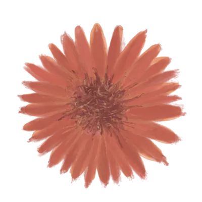 꽃잎