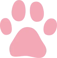 Vector illustration of a cat's pink paw pads