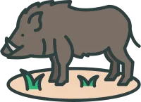 Wild boar icon