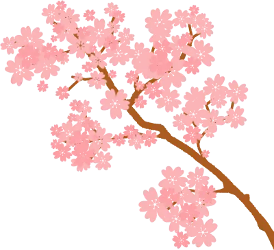 벚꽃