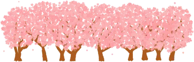 벚꽃나무