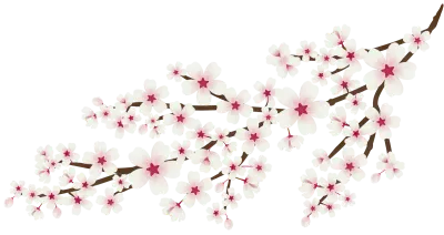 벚꽃