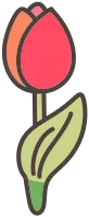 튤립