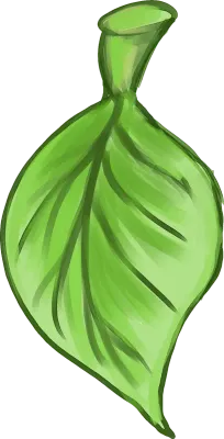 Leaf plain