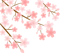 벚꽃11