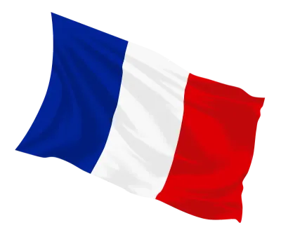 Hand painted waving France flag with smooth brushstrokes and fabric texture