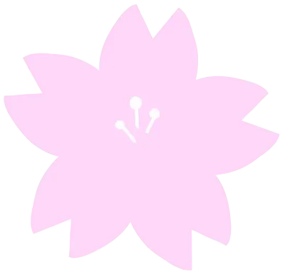 꽃