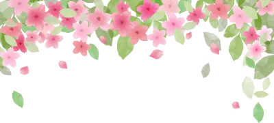 벚꽃