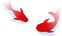 Two simple swimming goldfish with shadows