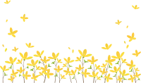개나리