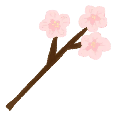벚꽃가지