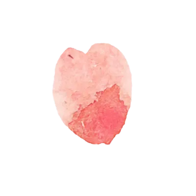 벚꽃