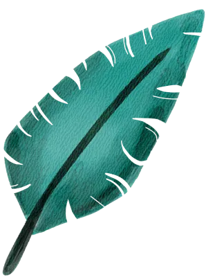 watercolor leaf clip art botanical aesthetic green color for decoration