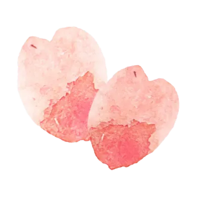 벚꽃