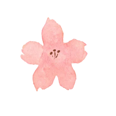 벚꽃