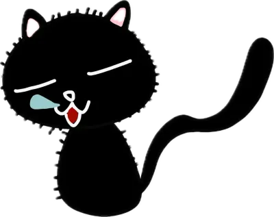 잠든 검은 고양이