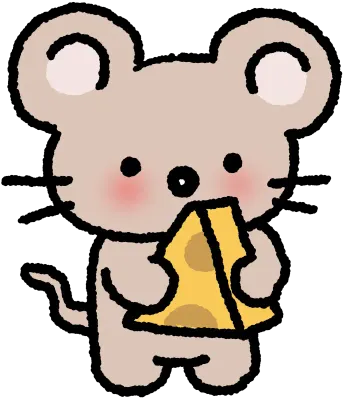 쥐