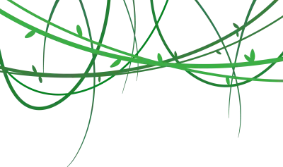 정글