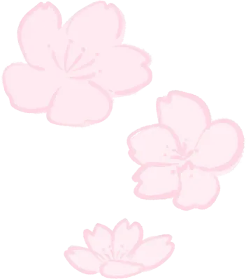 벚꽃