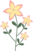 Spring Flowers