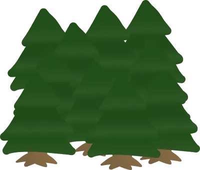 숲