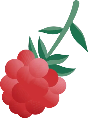 산딸기 일러스트