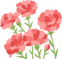 카네이션 꽃