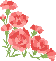 카네이션 꽃