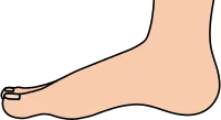 발 옆모습
