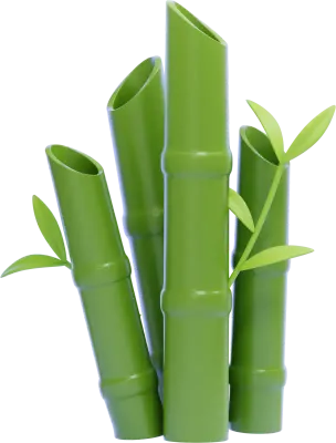 Bamboo