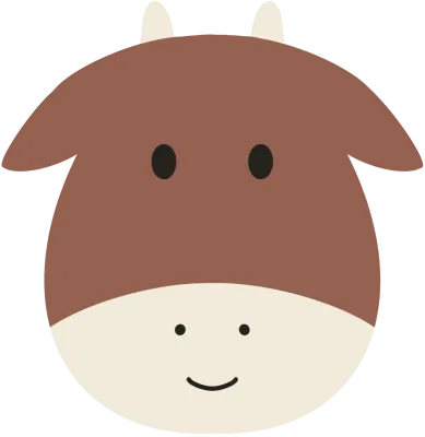 소