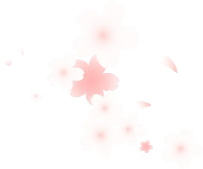벚꽃